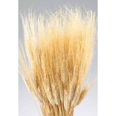 WHEAT Natural 30" 8 oz   